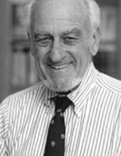 אלברט סולניט